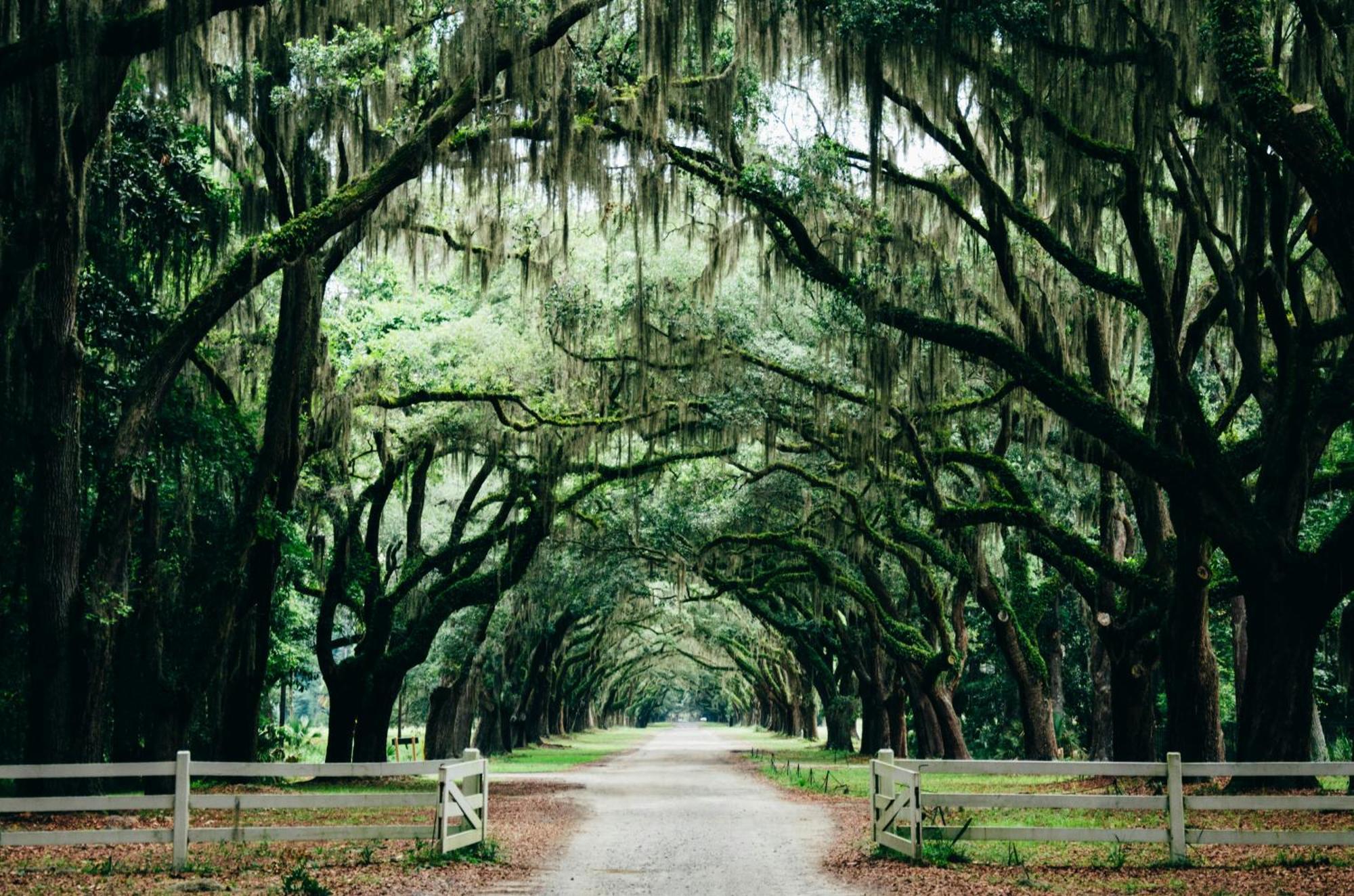 Kimpton Brice Hotel By Ihg Savannah Eksteriør bilde